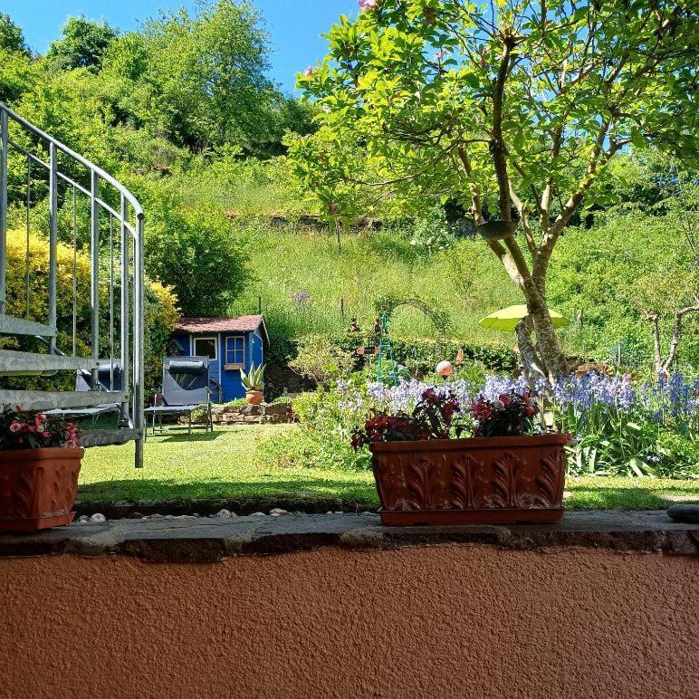 Ferienwohnung Haus Bleser Cochem Exterior foto